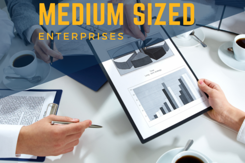 strategic planning for medium sized enterprise